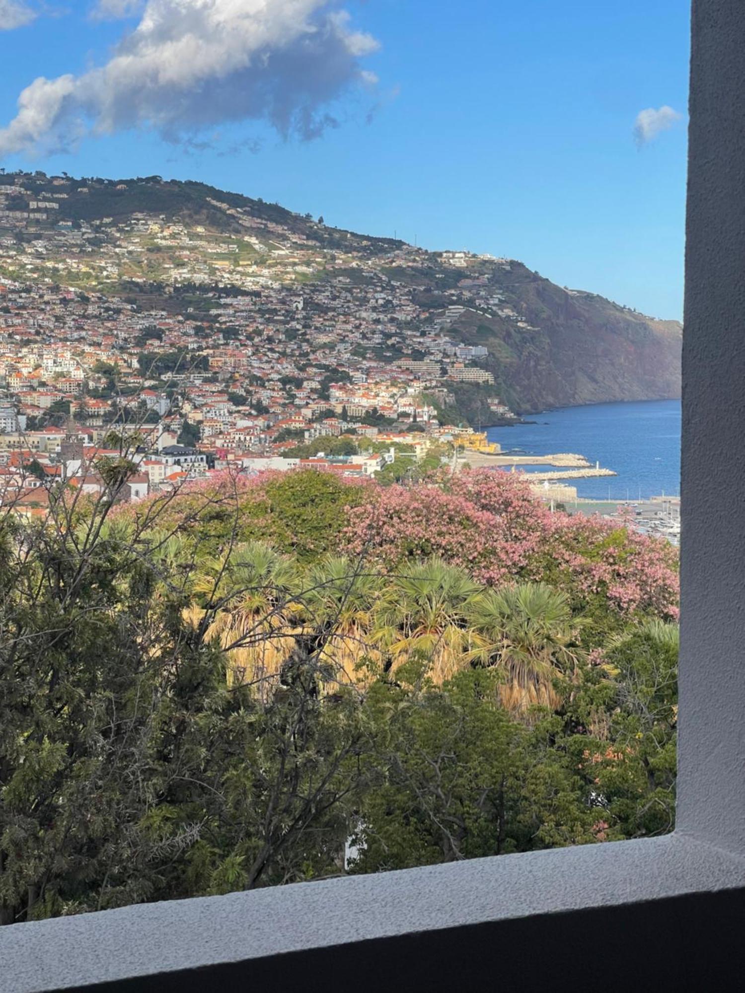 In Town View Lägenhet Funchal  Exteriör bild